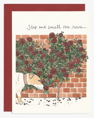 Stop And Smell The Roses - Motif