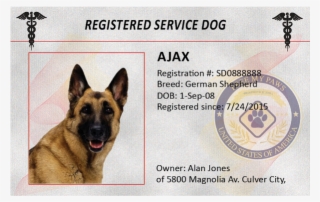 Bronze Service Dog Identification Kit - German Shepherd Puppy Png