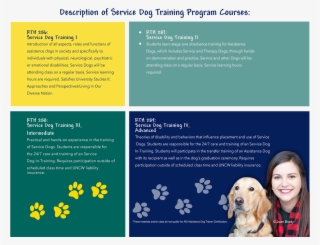 Starting On August 24, 2011, The First Class Of The - Companion Dog