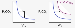 Qualitative Features Of Alveolar Carbon Dioxide - Graphic Design
