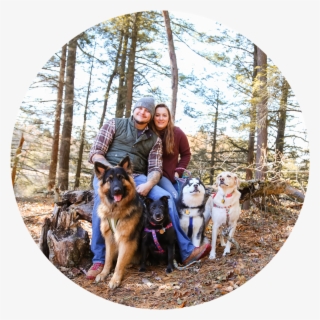 We Are Corey And Vanessa, A Couple Of High School Sweethearts - Old German Shepherd Dog