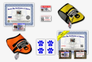 Sale Service Dog Stickers - Guitar String