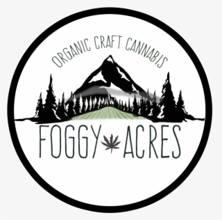 Foggy Aces Main Logo Final 20181210 Flatten Format=1500w