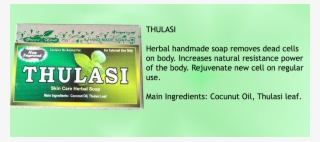 It Also Acts As An Anti Fungal And Anti Bacterial Making - Plant