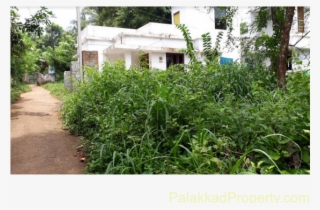 For Sale, 10cent Plot At Kallekkad - Plantation