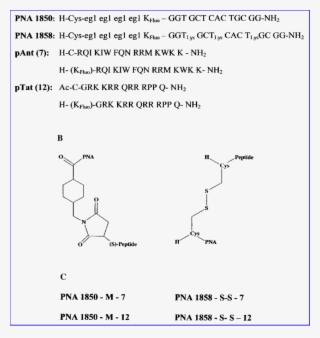 Chemical Structure Of The Two Different Couplings, - Chemical Composition Of Peptides