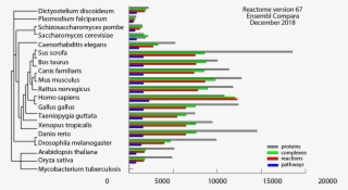 Statistics - Diagram