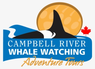 Campbell River Whale Watching And Adventure Tours