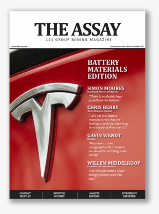 Assay Square - Slip Joint Pliers