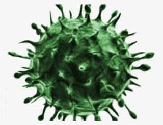 Virus Png Transparent Images - Virus Png