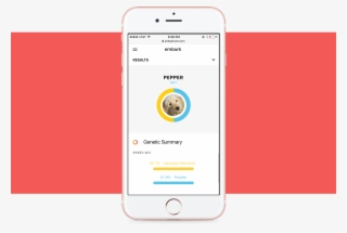 Embark Result Example - Iphone