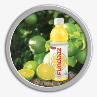 Fundaaz Healthy Energy Fruit Punch Drink - Domaine De Canton