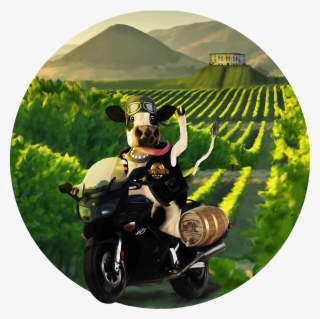 Test - Illustrator - Motorcycle