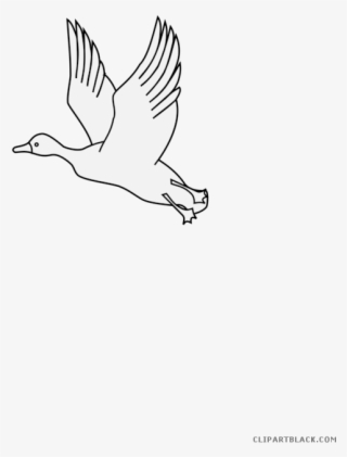 Flying Duck Animal Free Black White Clipart Images - Seabird