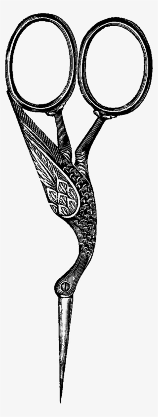 Digital Scissors Clip Art - Bird Scissors