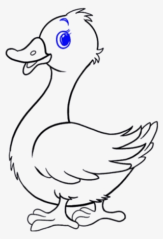 How To Draw Duck - Cartoon Duck White Transparent