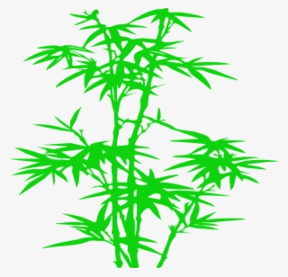 Bamboo Silhouette
