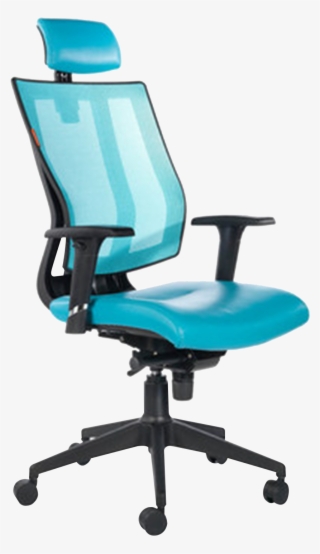 Welcome To Csc Office - Ergonomic Office Chair