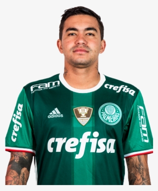 Dudu Png - Palmeiras 2018
