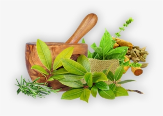 Ayurveda Pharmacy Wholesaler - Ayurveda Png