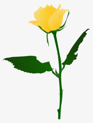 Hand Drawn Flowers Illustration Yellow Rose Png And - Yellow Rose Png