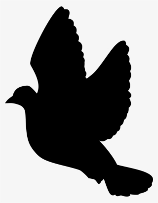 Download Png - Stock Dove