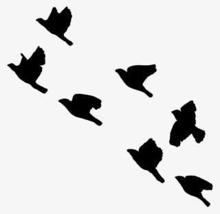 Birds Sticker - Silhouette