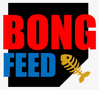 Bongfeed - Graphic Design