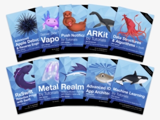 Advanced Ios Black Friday Bundle - Flyer