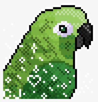 1200 X 1200 1 - Green Cheeked Conure Art Transparent