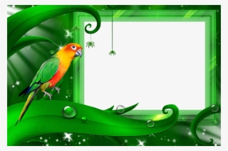 Png Frames Free Download - Рамка Для Фото С Природой Пнг