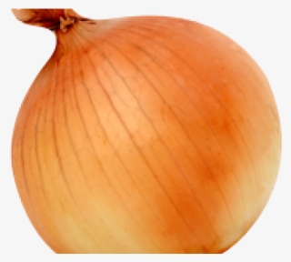 Squash