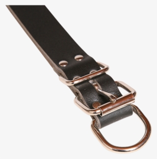 Taurus Drover Leather Dog Collar With Dee Chain 25x570mm - Strap