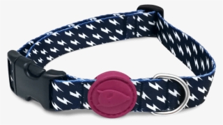 Dog Collar - Buckle