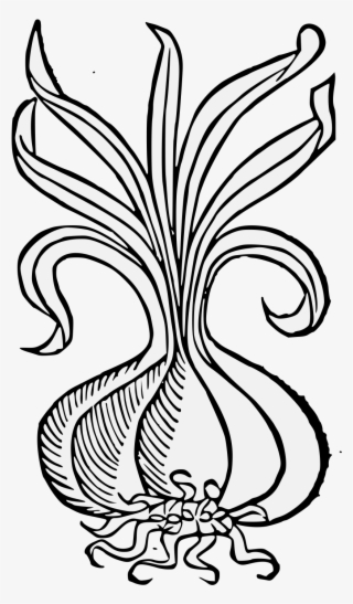 Details, Png - Illustration