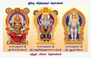 Vishnu Maya