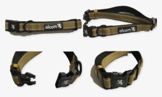 Details About Alcott Adventure Large Dog Collar Olive - Strap