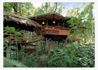 View The Tree House Resort, Tree House Resort Playa - Tree House Lodge Costa Rica