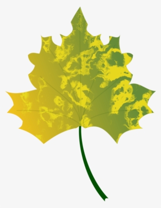 Autumn Leaf Color Yellow Maple Leaf - Clip Art
