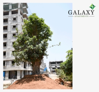 Project Status - - Penthouse Apartment