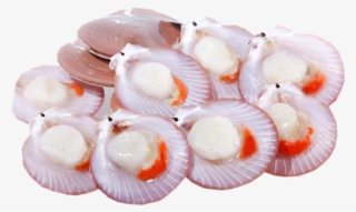 Image01 - Pt Prima Cakrawala Abadi