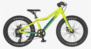 Scott Roxter 20 2019