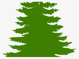 Logo Dengan Pohon Cemara - Camp Winnipesaukee