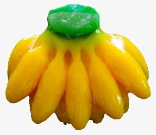 Banana Bunch - Black-eyed Susan