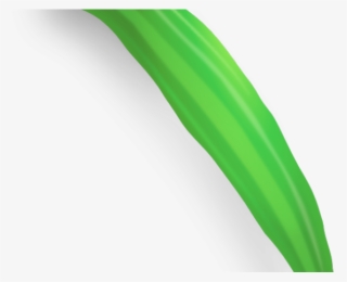 Okra Clipart Lady Finger - Illustration