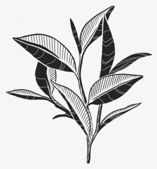 Cranford's Tea Trader Promotes Peace And Happiness - Monochrome