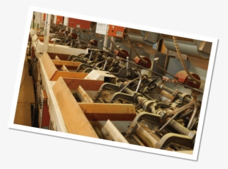 By Drying And Make The Tea Leaves Long And Thin By - Plywood