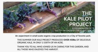 Kale Project Fall