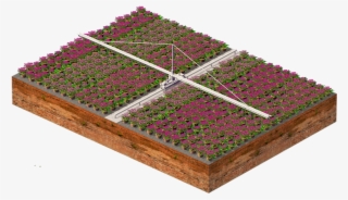 Search Also Information About The Insurance For Horticultural - Floral Design