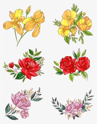 Hand Painted Plants Flowers Bouquets Botanical Png - Flower Bouquet